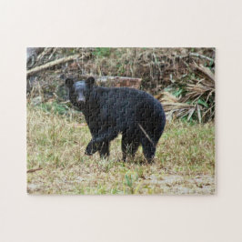 Florida Black Bear Pussel