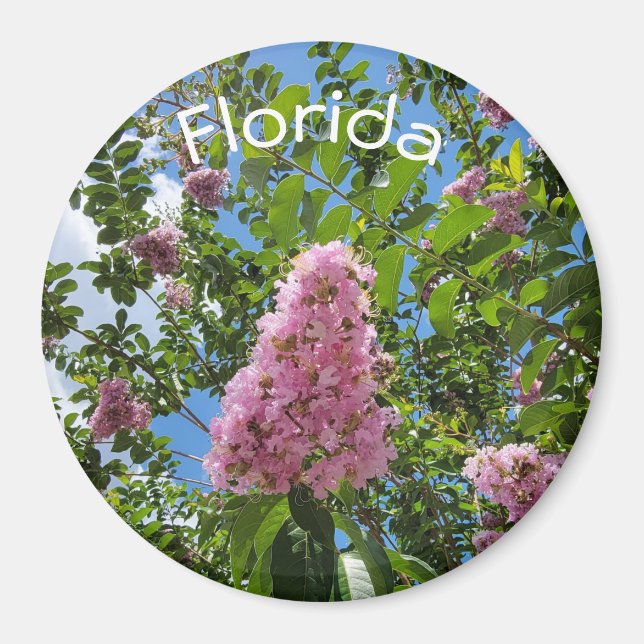 Florida blommars magnet (Framsidan)