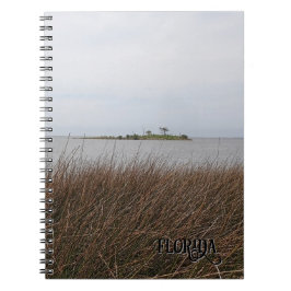 Florida Bukt Beach Forbidding Needlerush Photo Anteckningsbok