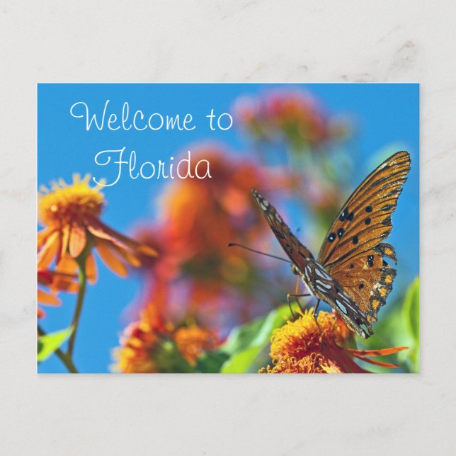 Florida Butully Postcard Vykort (Framsida)