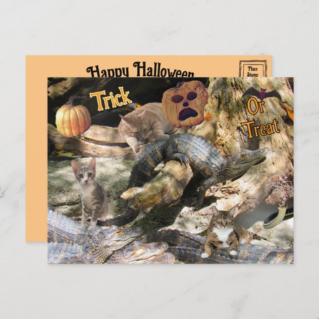 Florida Cat och Gator Halloween Postcard Helg Vykort (Fram/baksida)