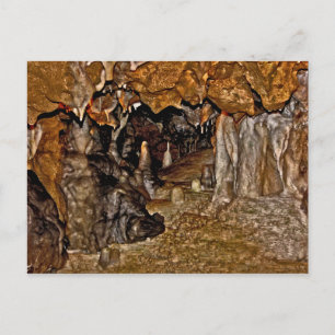 Florida Caverns I. Vykort