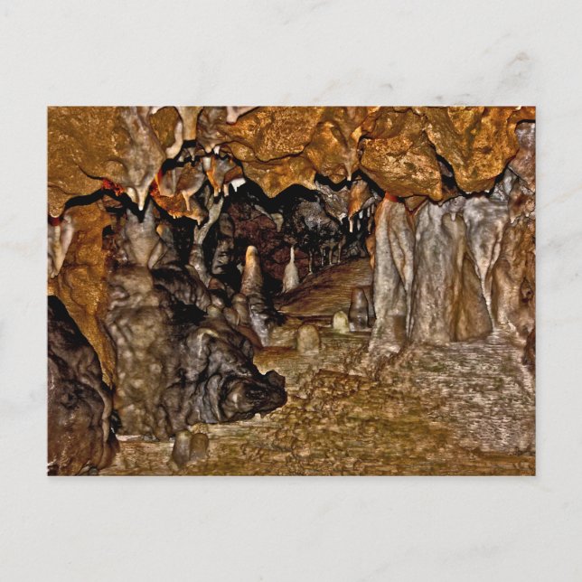 Florida Caverns I. Vykort (Framsida)