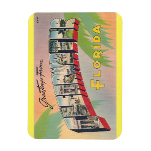 Florida Clearwater magnet