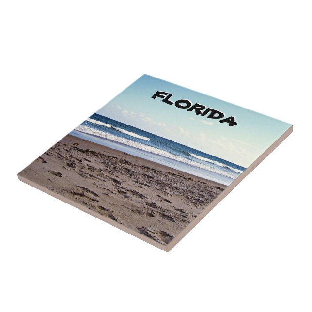 Florida Coastal Shoreline Beach Scene Kakelplatta (Sidan)