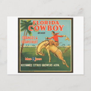 Florida Cowboy Kissimmee Citrus Growers Vintage Cr Vykort