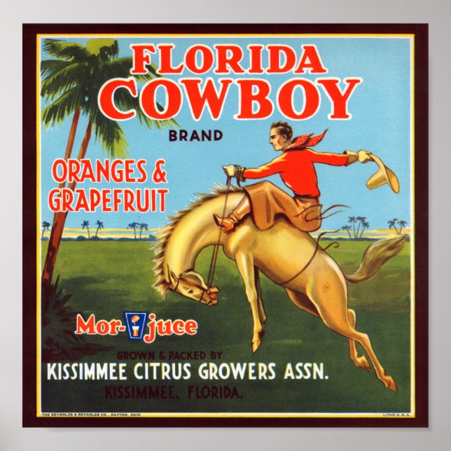 Florida Cowboy Poster (Framsidan)
