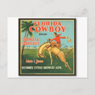 Florida Cowboy Vykort