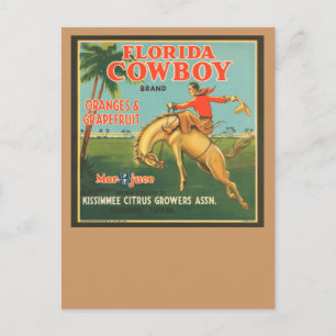 Florida Cowboy Vykort