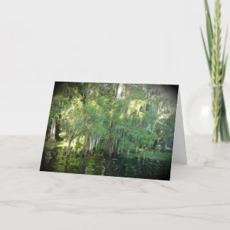 Florida Cypress Träd Note Card - tomt Kort
