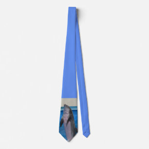 Florida delfin slips
