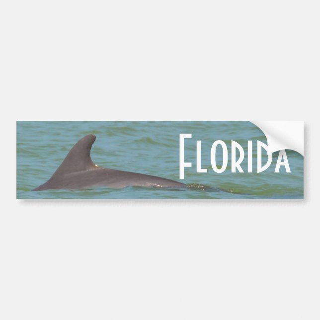 Florida delfinbildekal bildekal (Framsidan)