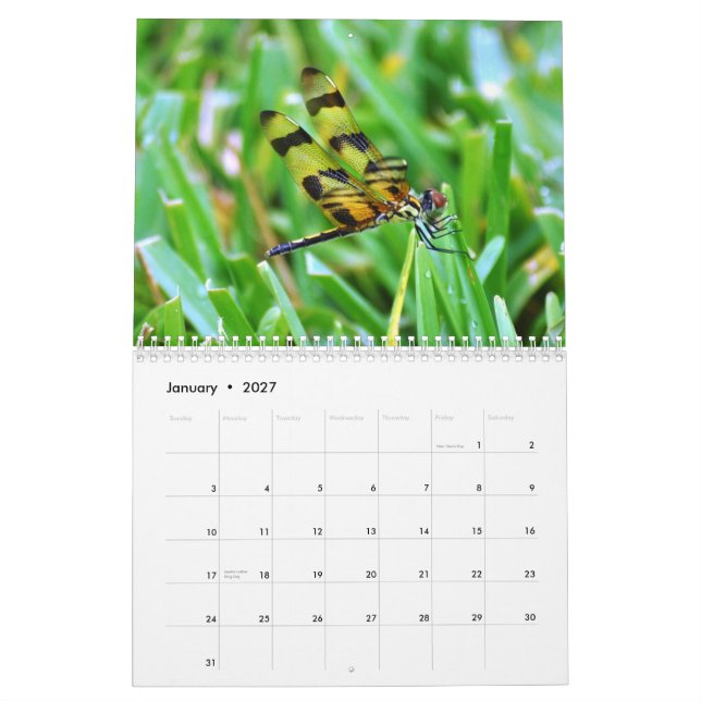 Florida djurliv kalender (Jan 2027)