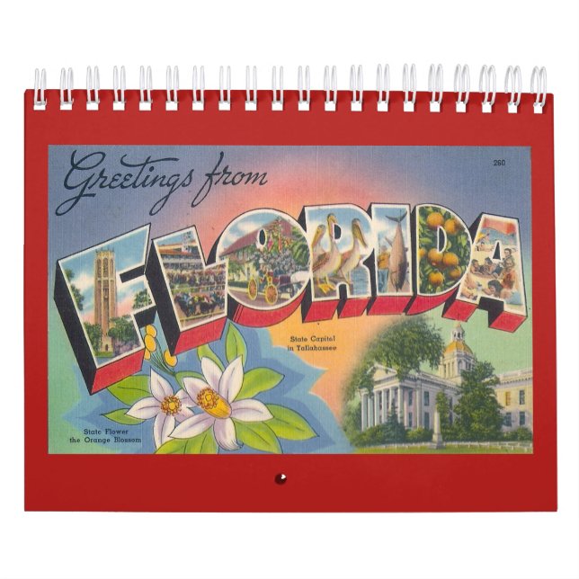 FLORIDA, ett vintageår Kalender (Omslag)