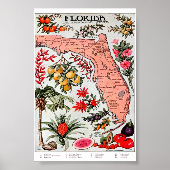 Florida, Everglade-staten Karta Poster (Framsidan)