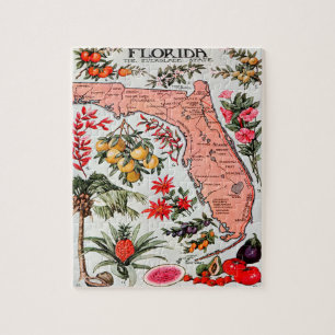 Florida, Everglade-staten Karta Pussel