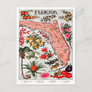 Florida, Everglade-staten Karta Vykort