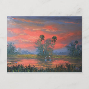 Florida Everglades Fire Himmel Vykort