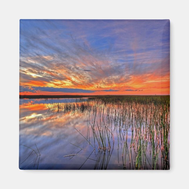 Florida Everglades Magnet (Framsidan)