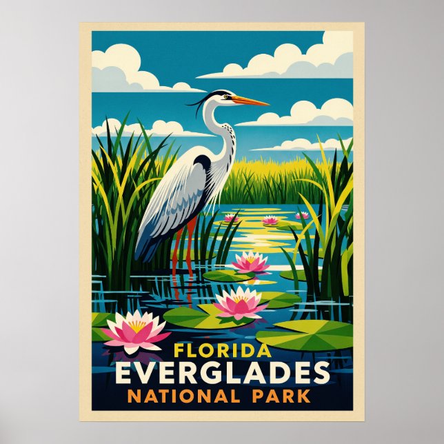 Florida Everglades nationalpark V04 Poster (Framsidan)