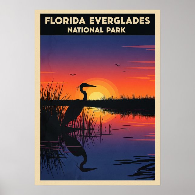 Florida Everglades nationalpark V05 Poster (Framsidan)