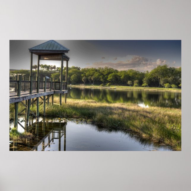 Florida Everglades Poster (Framsidan)