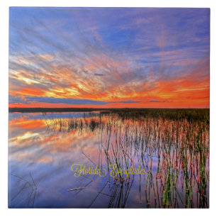 Florida Everglades, scenisk panorama, Kakelplatta