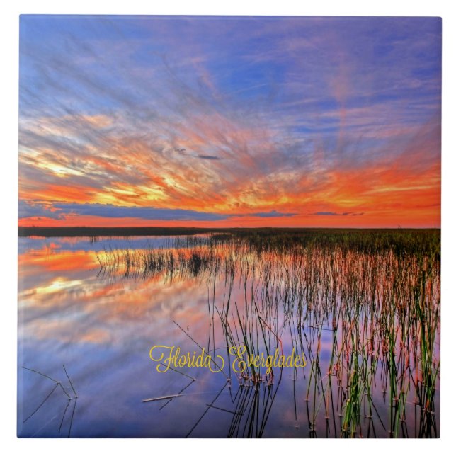 Florida Everglades, scenisk panorama, Kakelplatta (Framsidan)