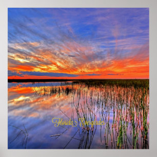 Florida Everglades, scenisk panorama, Poster