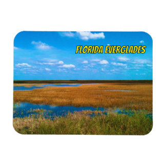 Florida Everglades Stargräs, himmel & reflektioner Magnet