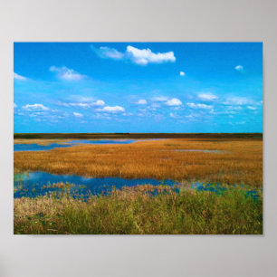 Florida Everglades Stargräs, himmel & speglingar Poster