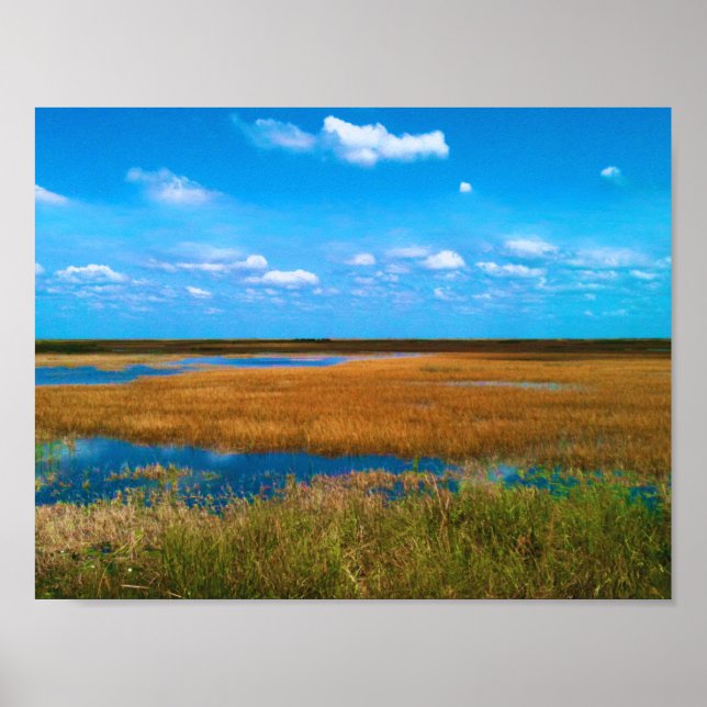 Florida Everglades Stargräs, himmel & speglingar Poster (Framsidan)