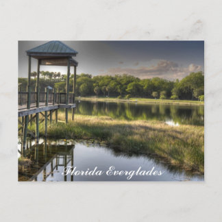 Florida Everglades Vykort