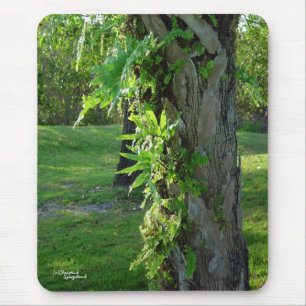Florida ferns Mousepad Musmatta