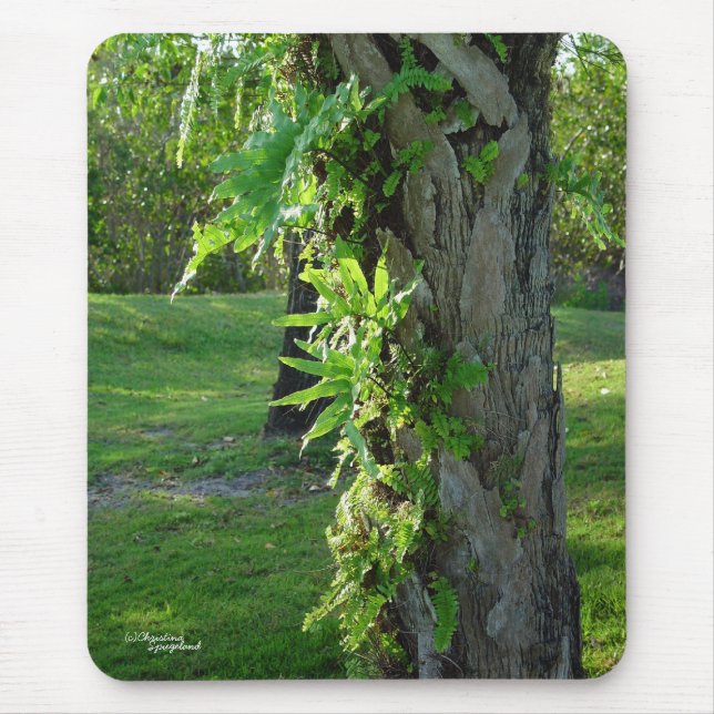 Florida ferns Mousepad Musmatta (Framsidan)