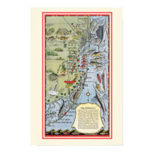 Florida Fish 12x18 Poster Skriv ut