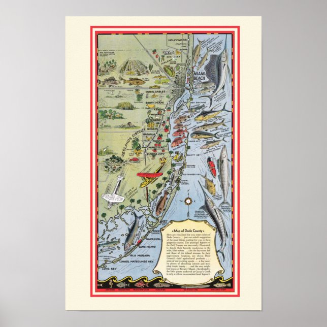 Florida Fisk 12x18 Affisch Print (Framsidan)