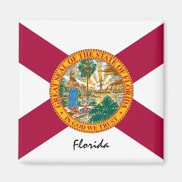 Florida Flagga & Florida State USA / sport Magnet