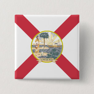 Florida Flagga: Sunshine State of Floridians Knapp