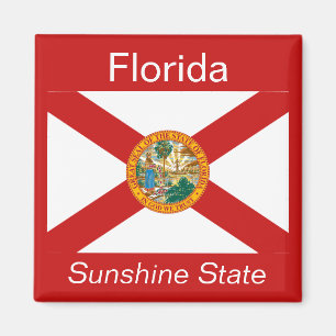 Florida flaggamagnet magnet