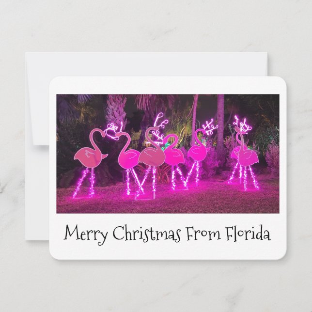 Florida Flamingo Christmas Card Julkort (Framsida)