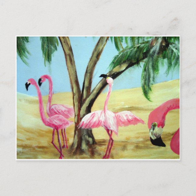 "Florida Flamingos" Horisonalt vykort (Framsida)