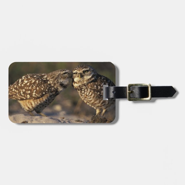 Florida, Fort Myers. Förbindelse mellan uppblåsand Bagagebricka (Horisontell Framsida)