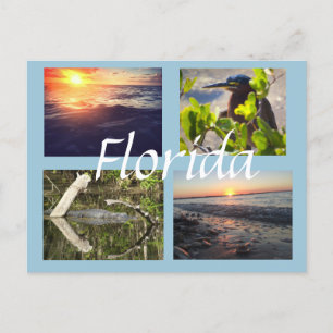 Florida fotografivykort vykort