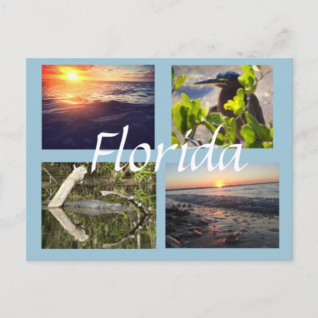Florida fotografivykort vykort (Framsida)