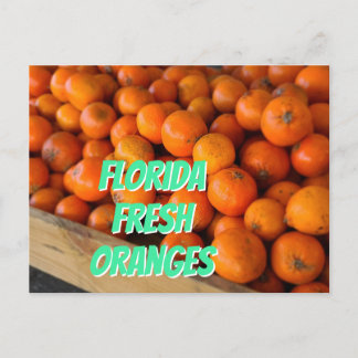 FLORIDA FRESH ORANGES Farmers Market Grove Vykort