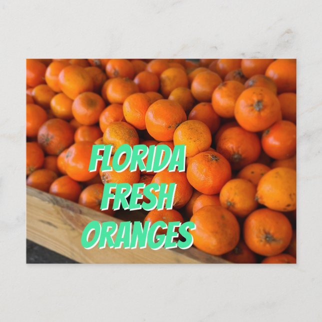 FLORIDA FRESH ORANGES Farmers Market Grove Vykort (Framsida)