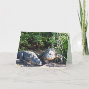 Florida Gator Crossing Greeting Card Helgkort