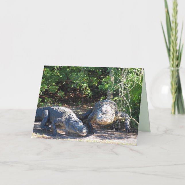 Florida Gator Crossing Greeting Card Helgkort (Framsida)
