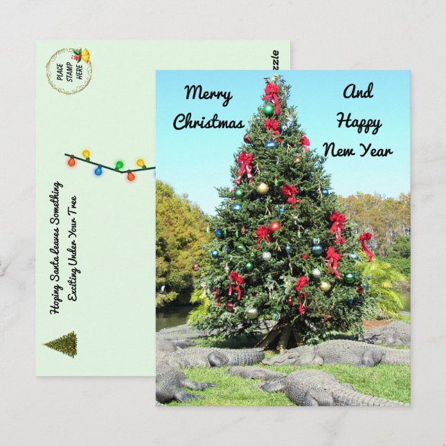 Florida Gator Julgran Vykort (Fram/baksida)